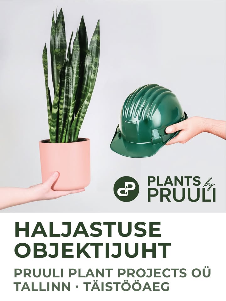 Plants by Pruuli